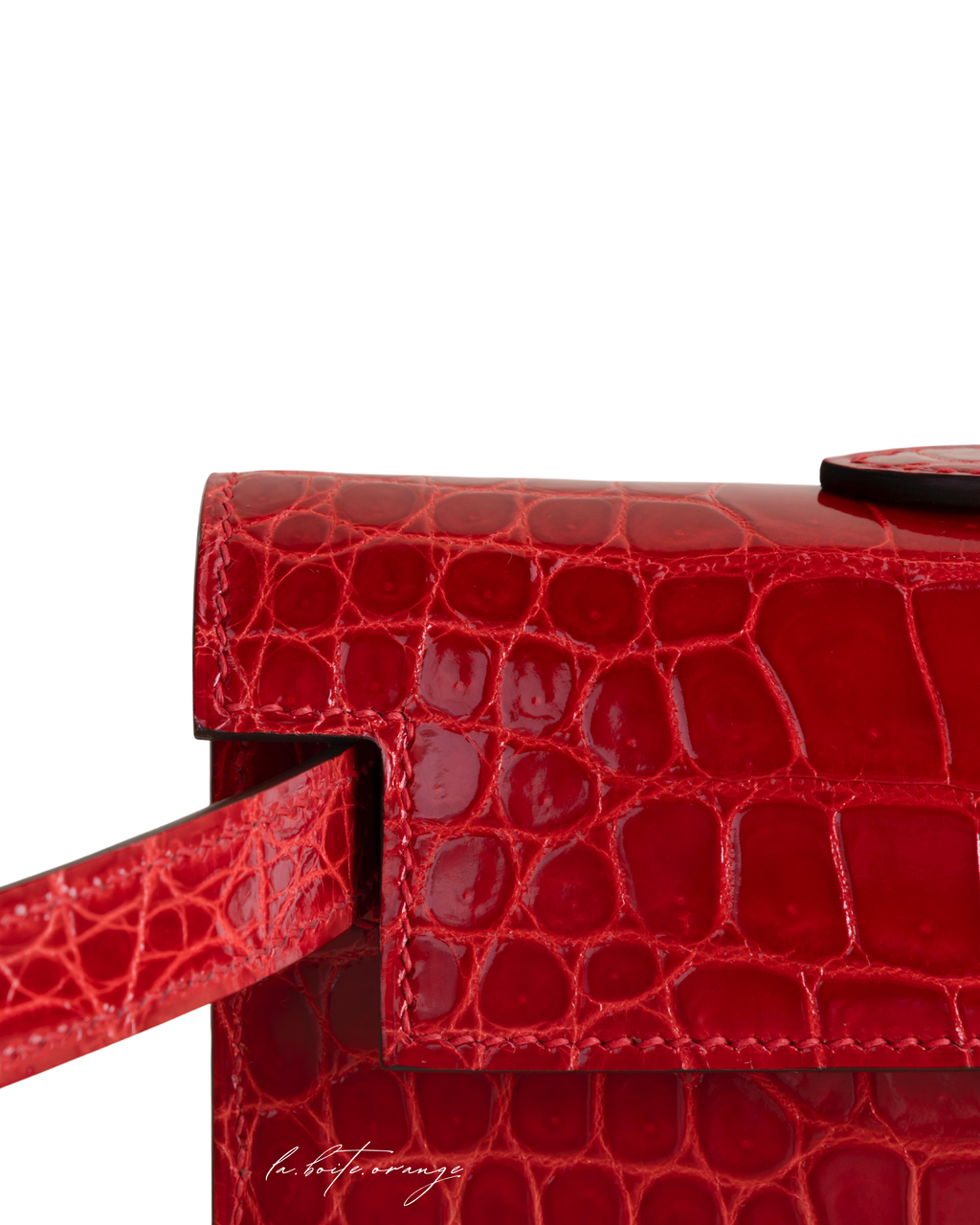 Kelly cut Shiny Porosus Crocodile 95 Braise
