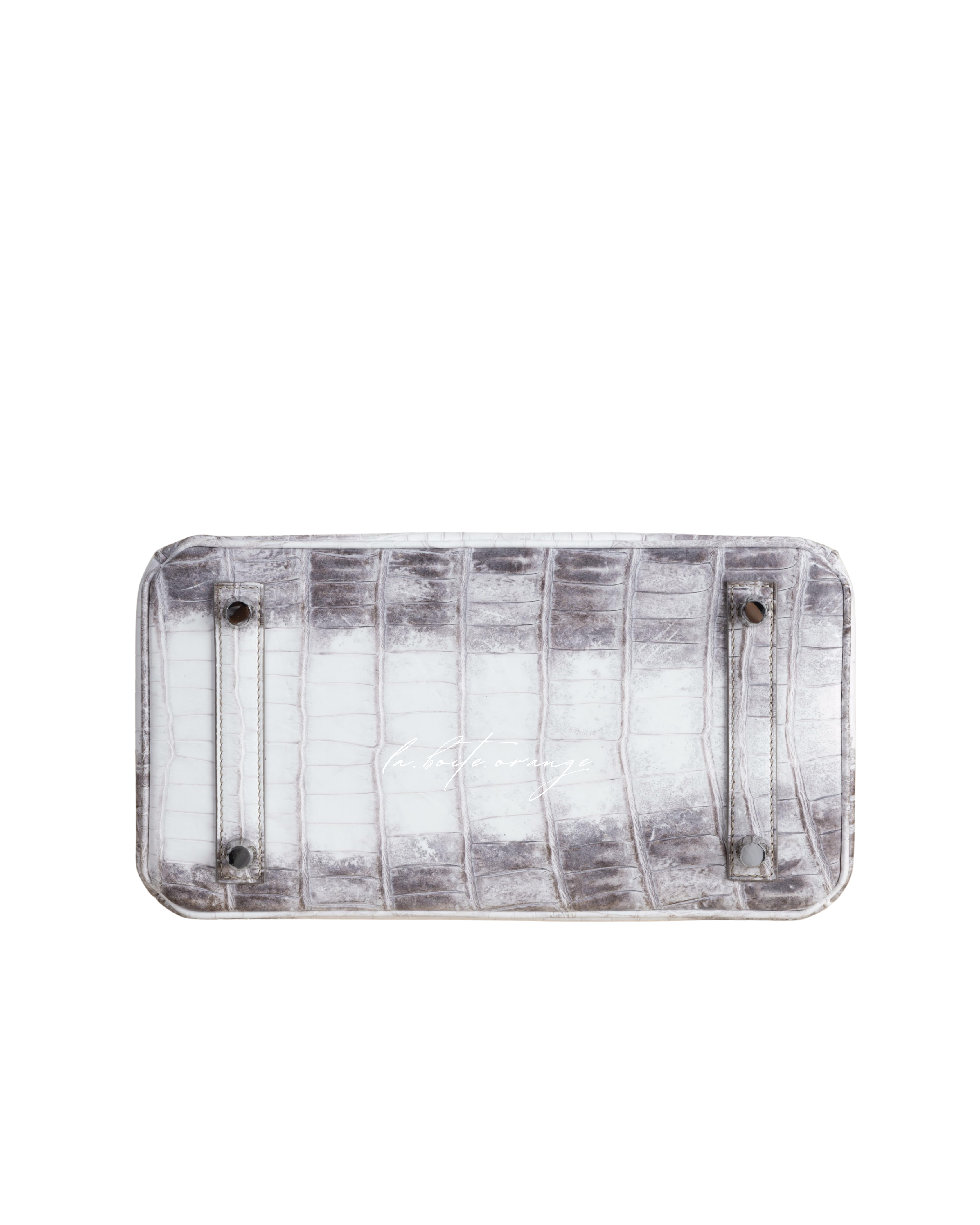 Birkin 25 Matte Niloticus 01 Himalayan