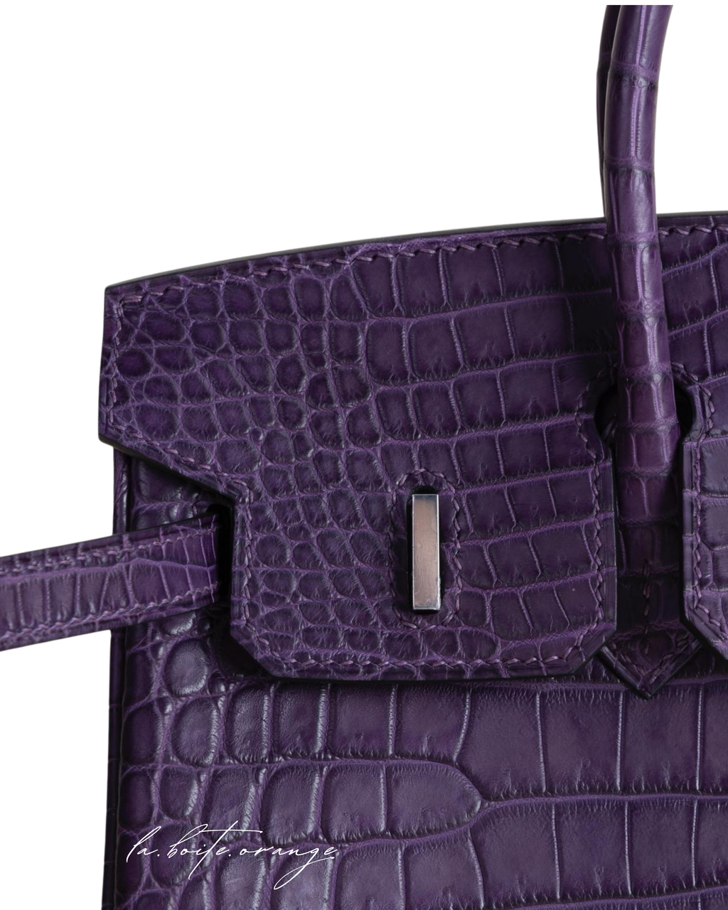 Birkin 25 Matte Porosus Crocodile 9G Amethyste