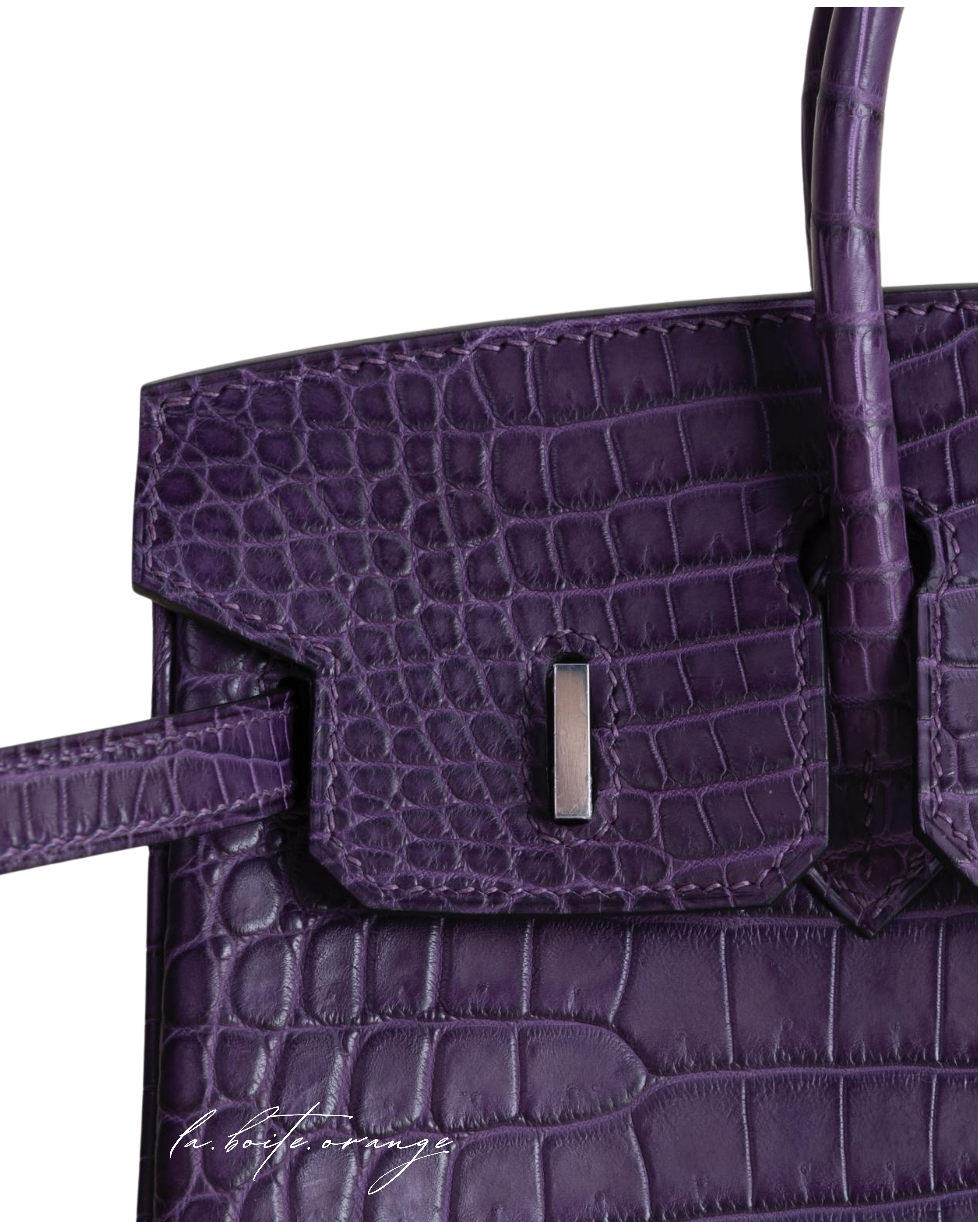 Birkin 25 Matte Porosus Crocodile 9G Amethyste