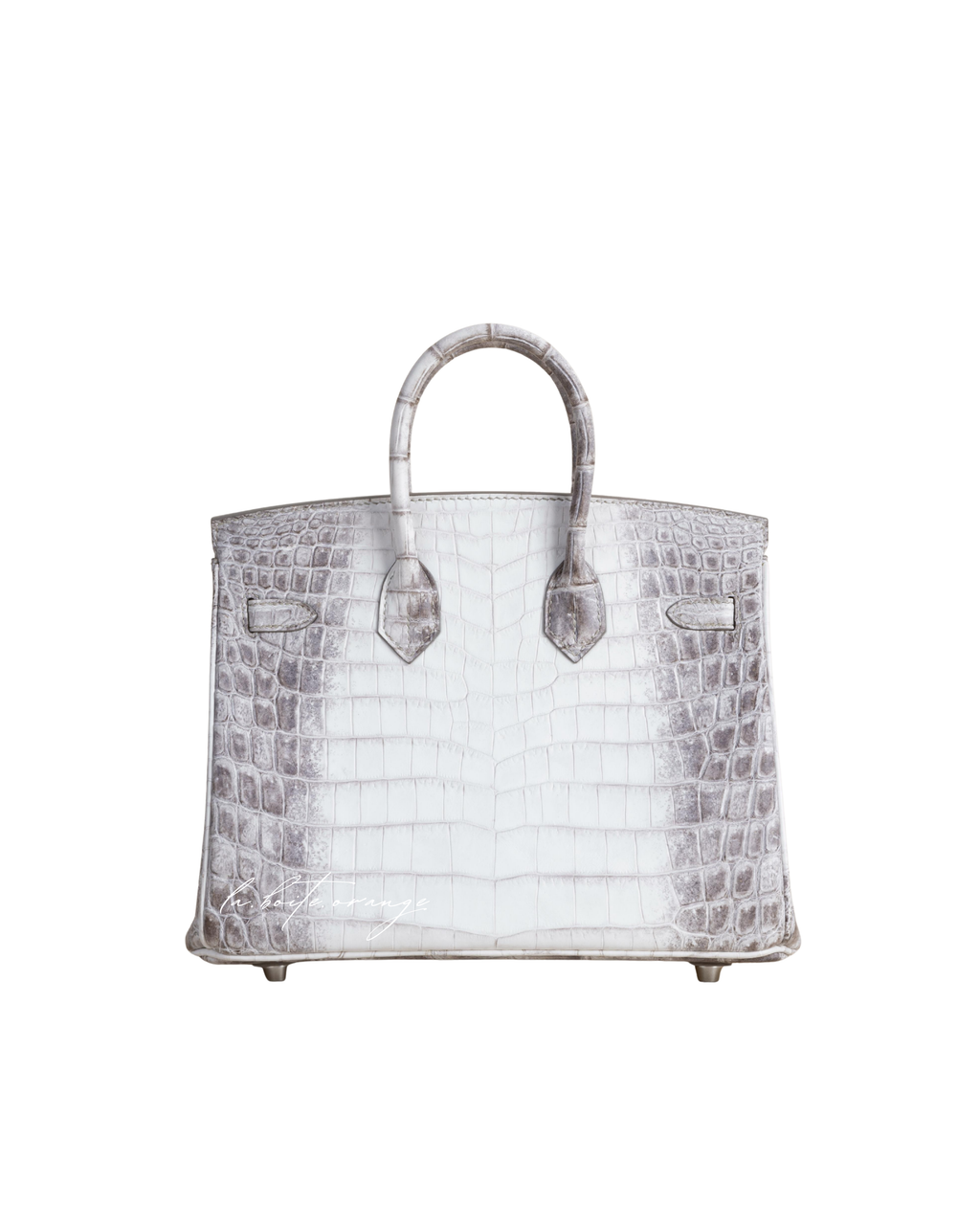 Birkin 25 Matte Niloticus 01 Himalayan