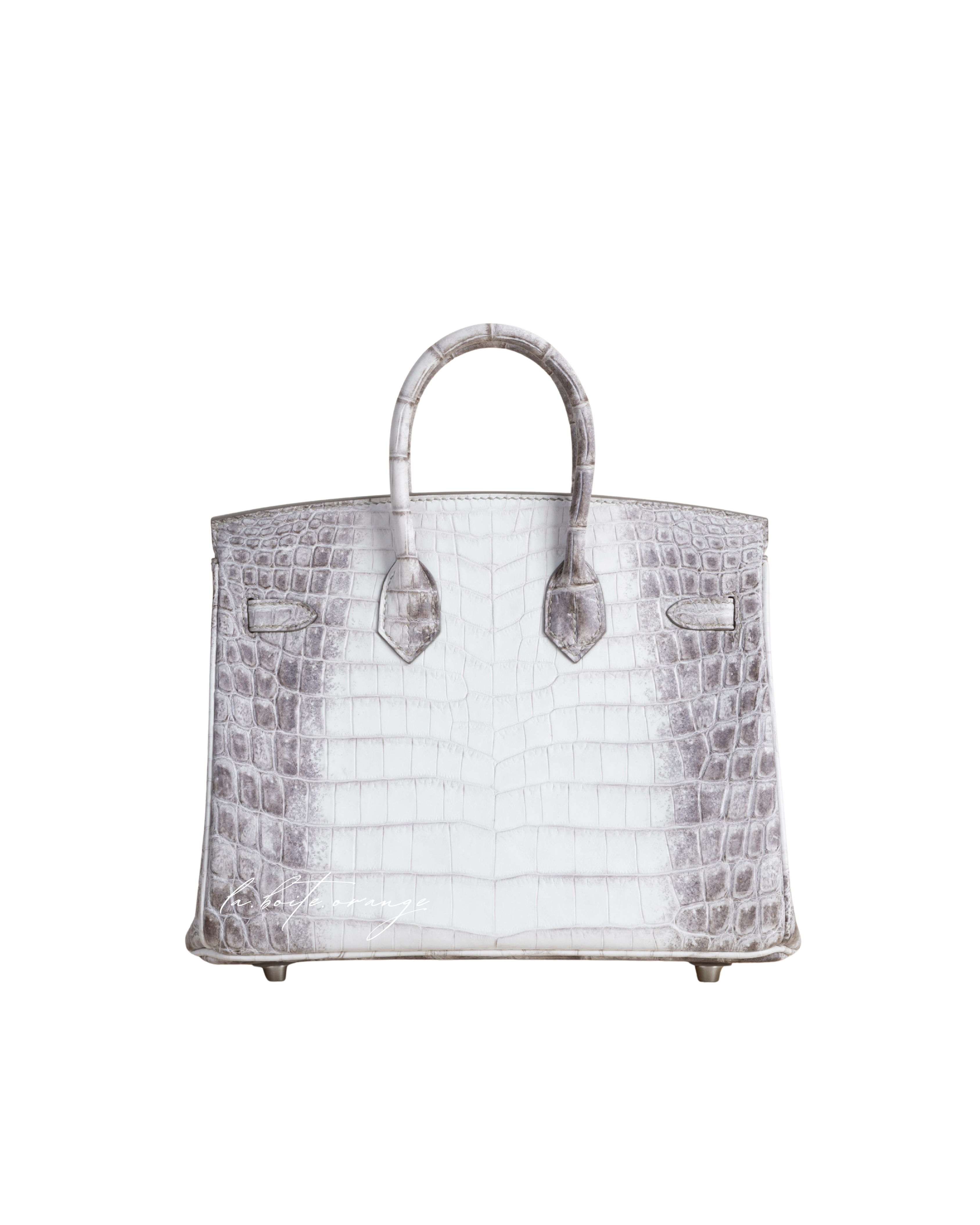 Birkin 25 Matte Niloticus 01 Himalayan