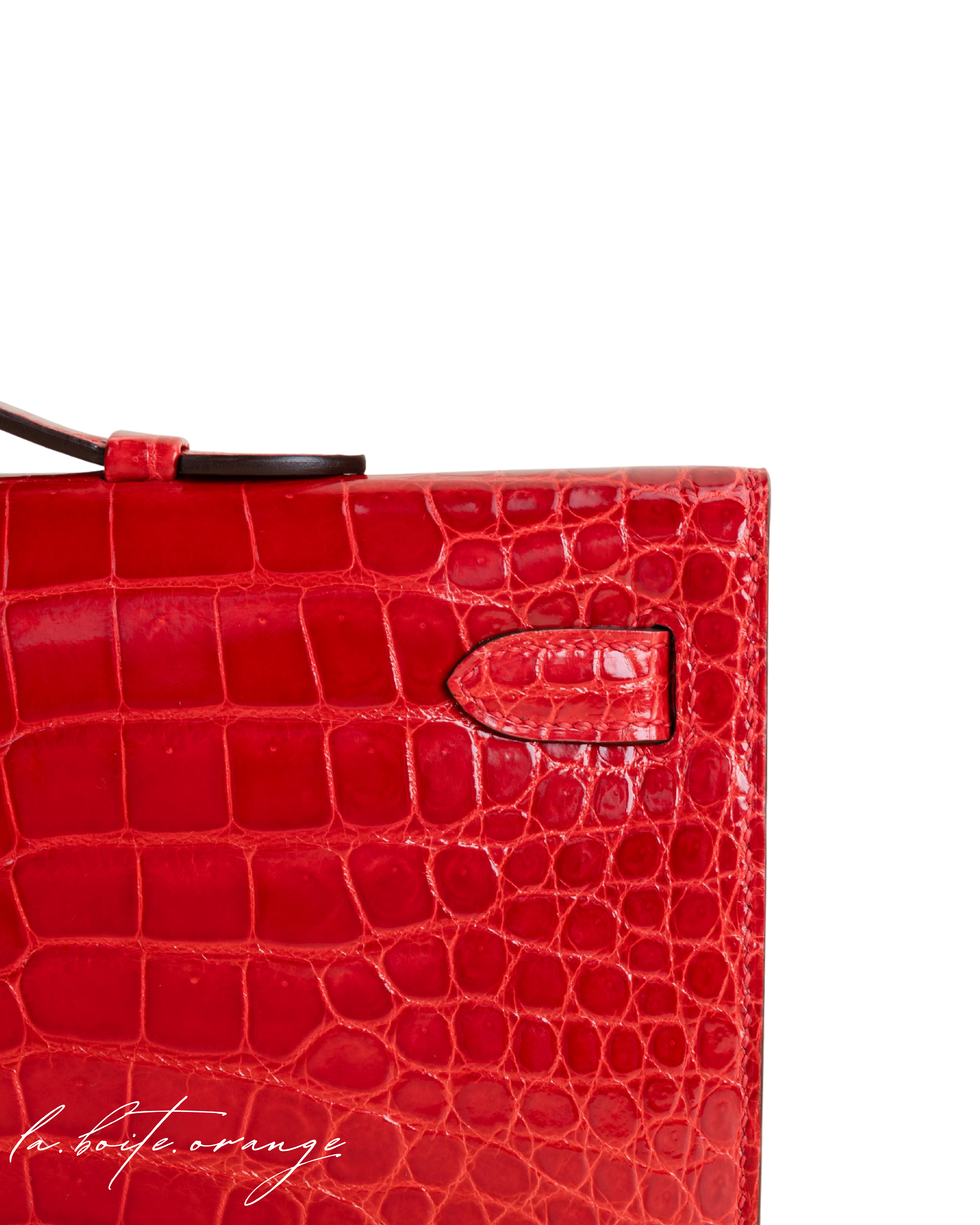 Kelly cut Shiny Porosus Crocodile 95 Braise