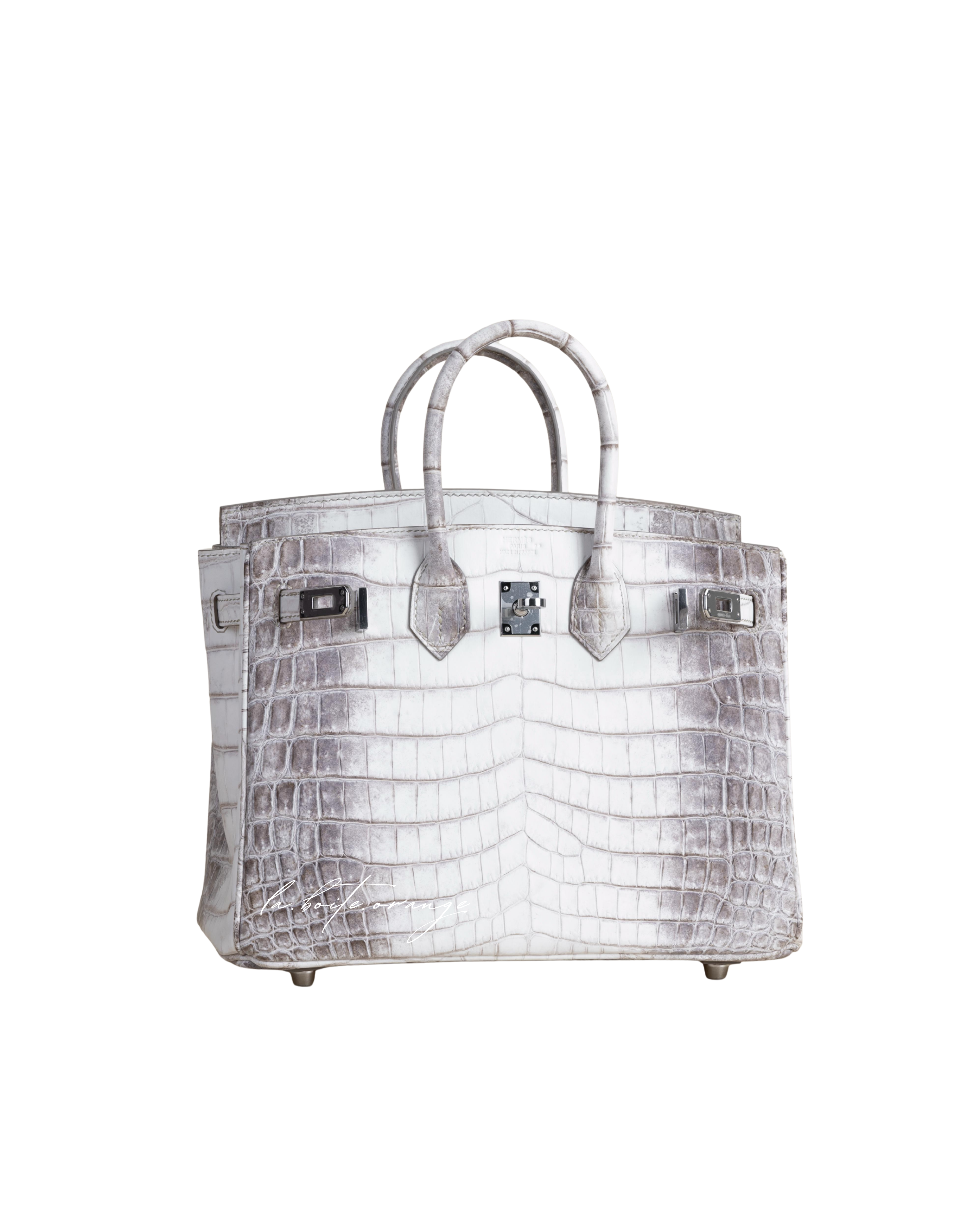 Birkin 25 Matte Niloticus 01 Himalayan