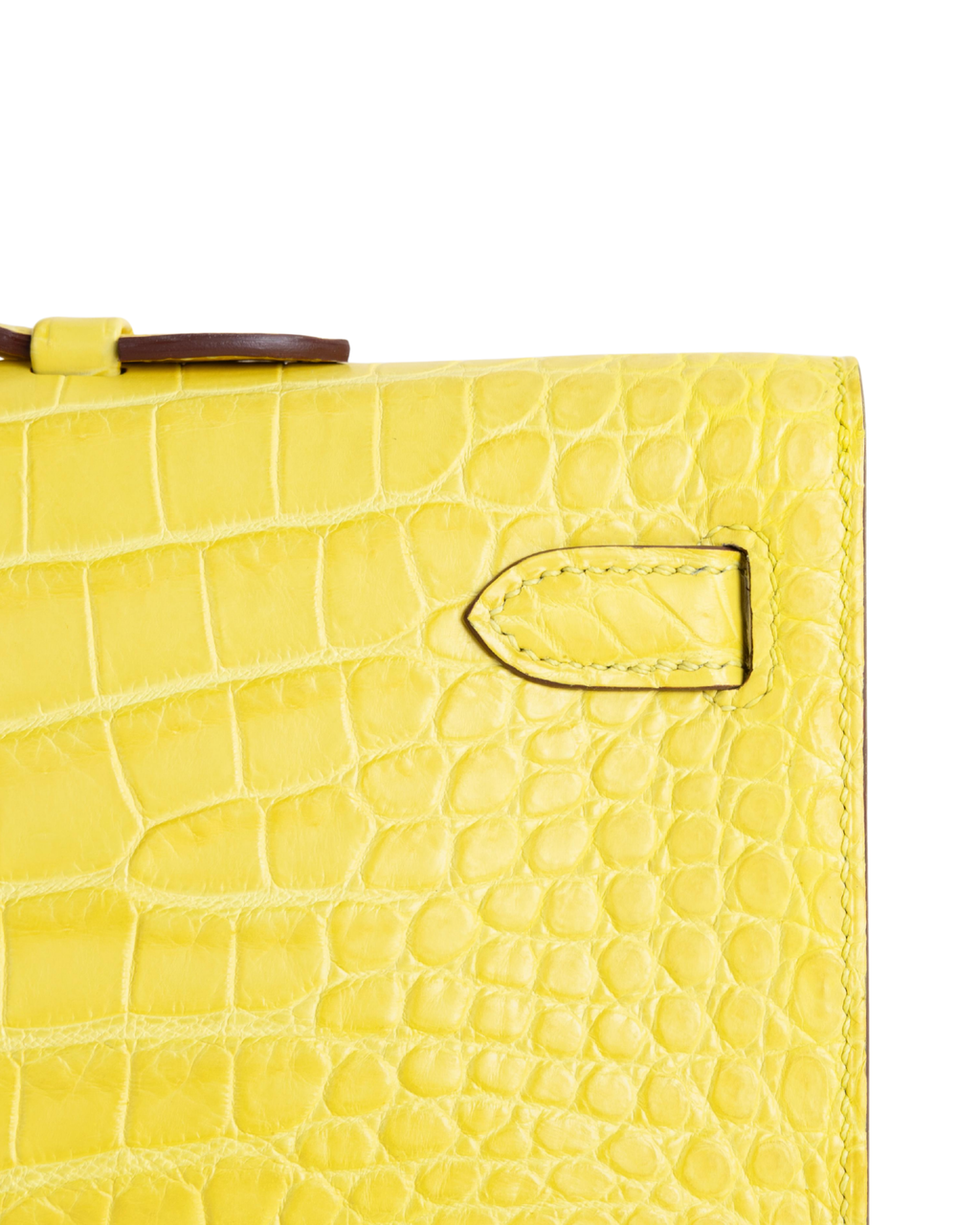 Kelly cut Matte Porosus Crocodile 9R Lime