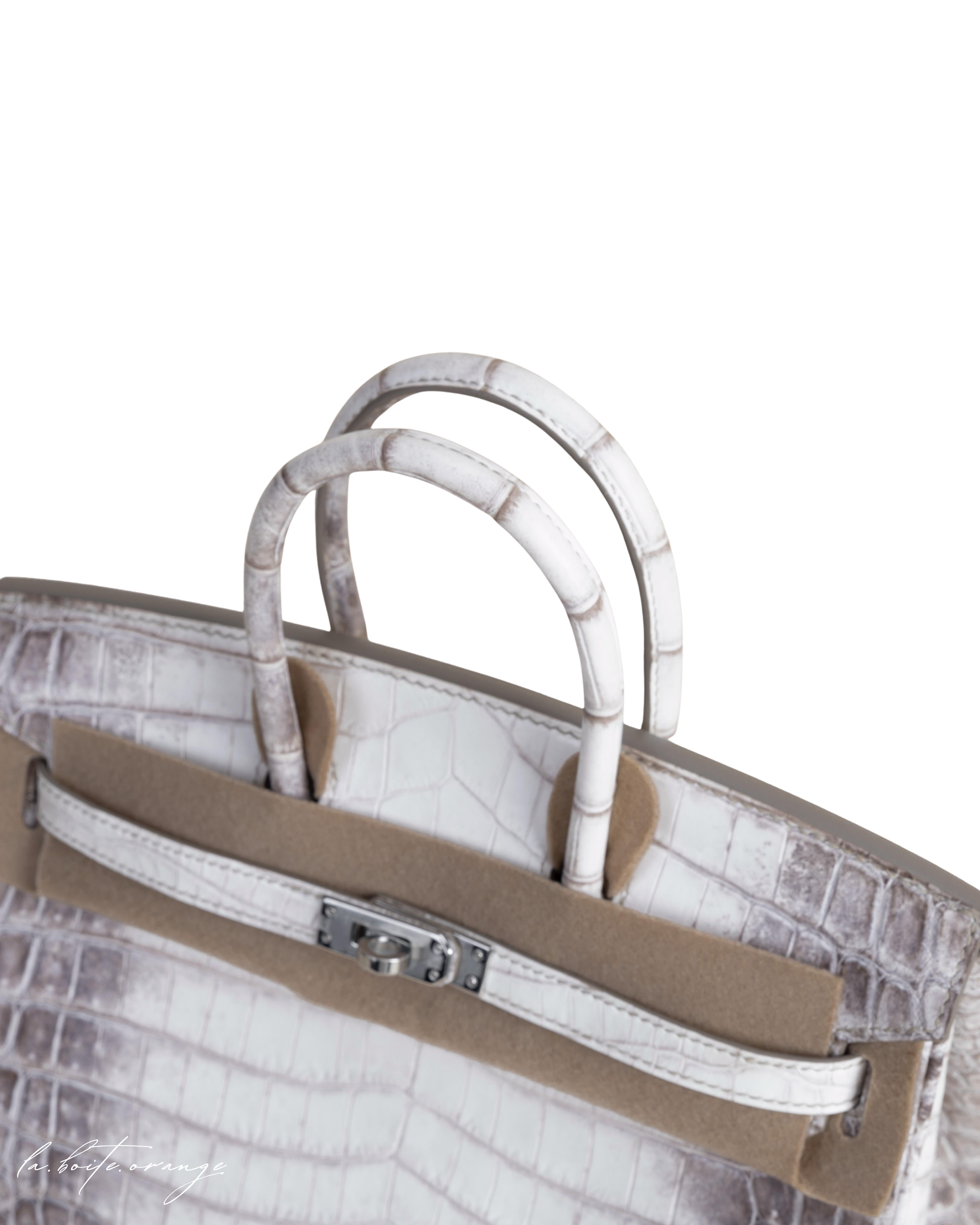 Birkin 25 Matte Niloticus 01 Himalayan