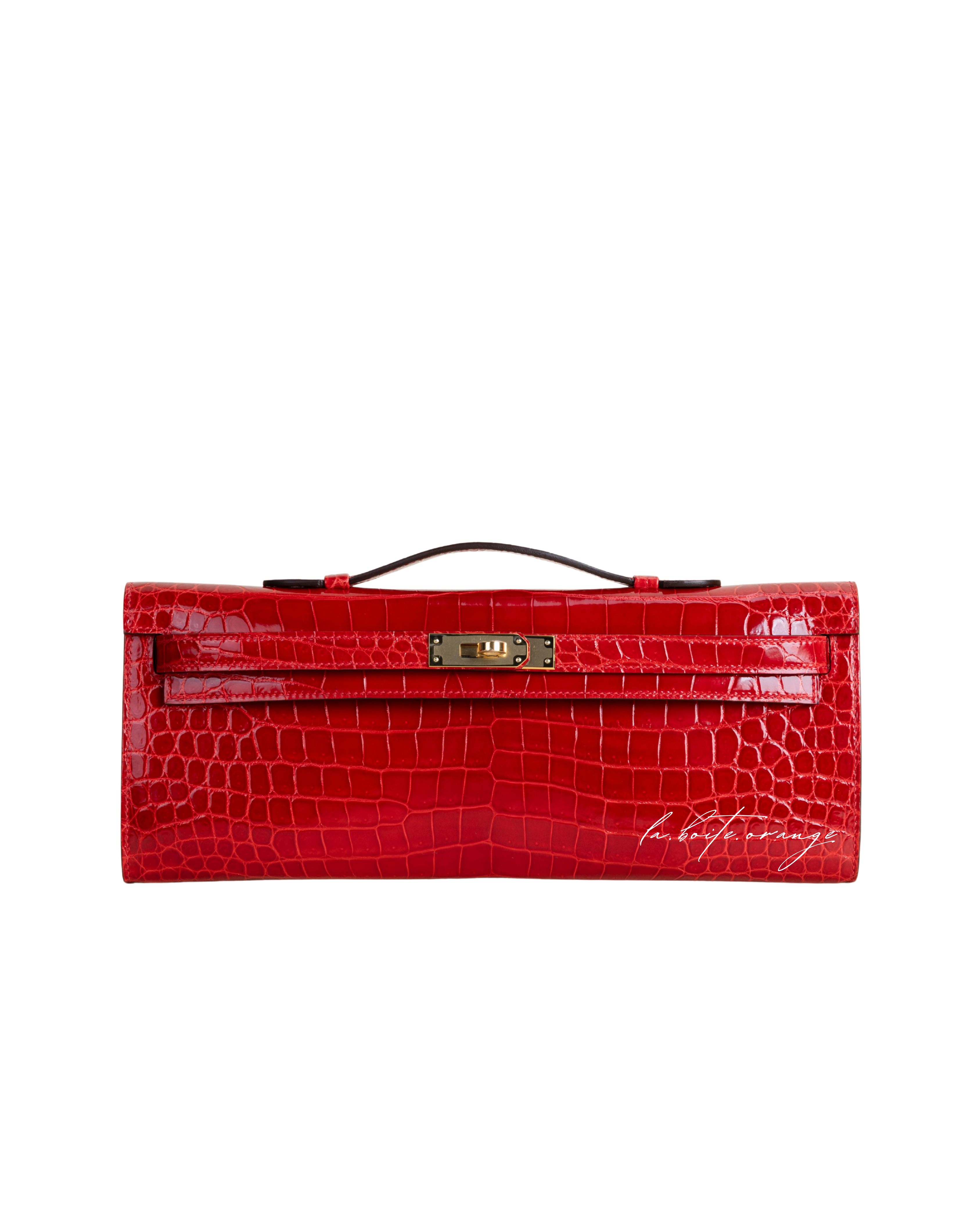Kelly cut Shiny Porosus Crocodile 95 Braise