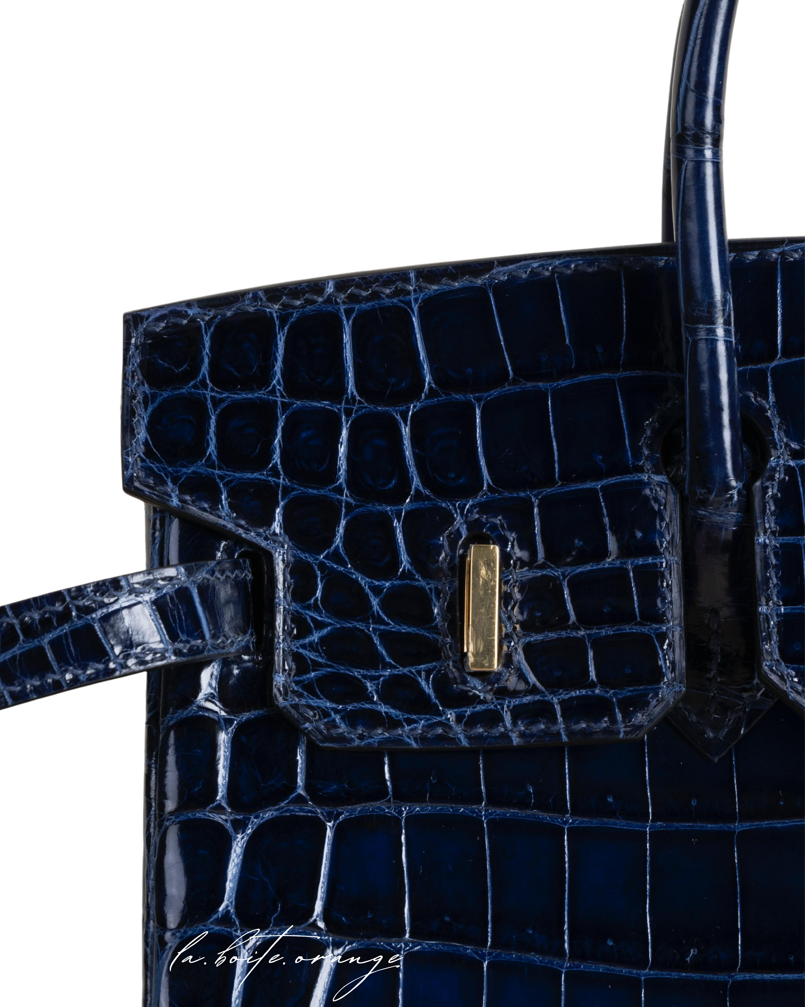 Birkin 25 Shiny Niloticus 73 Bleu sapphire