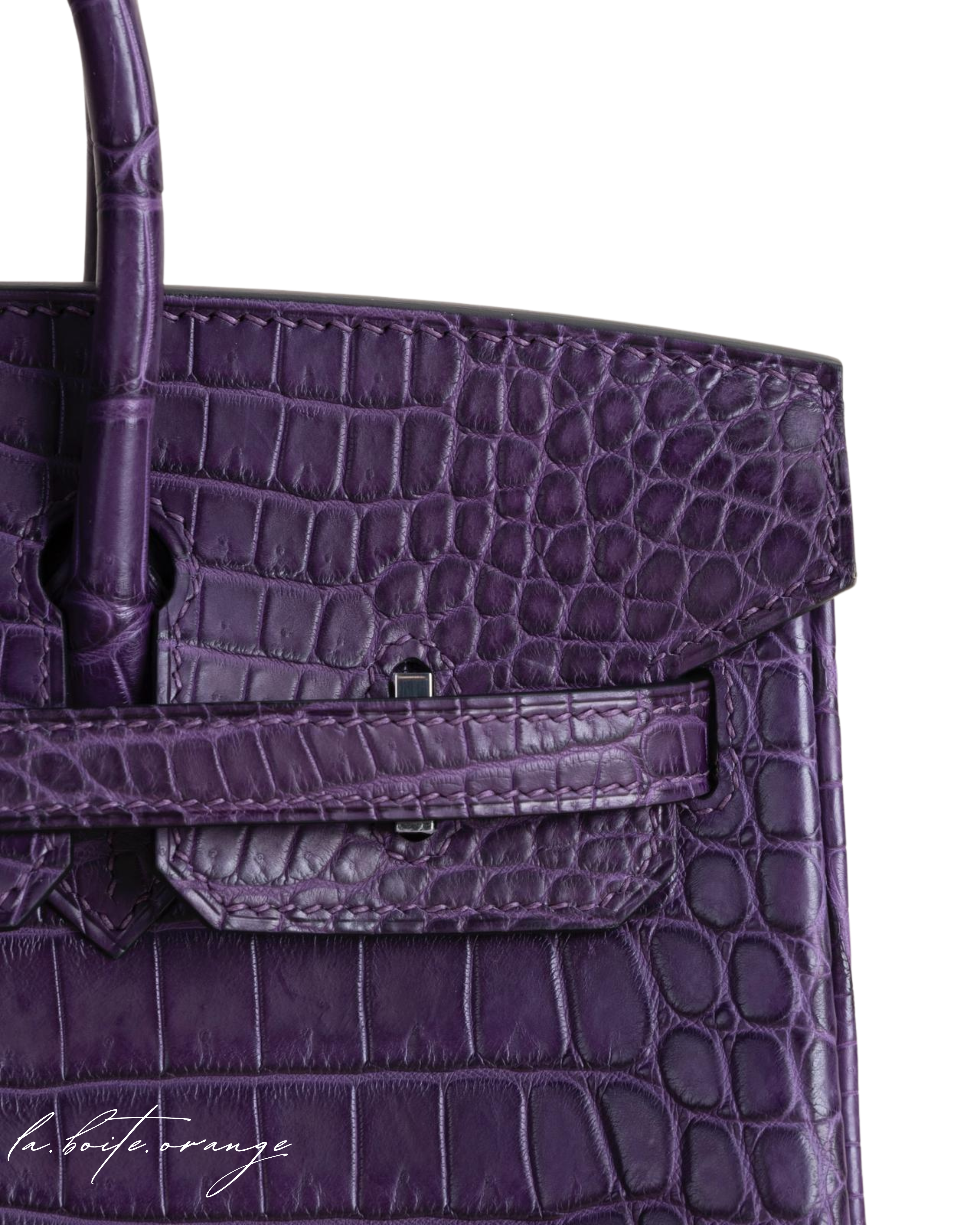 Birkin 25 Matte Porosus Crocodile 9G Amethyste