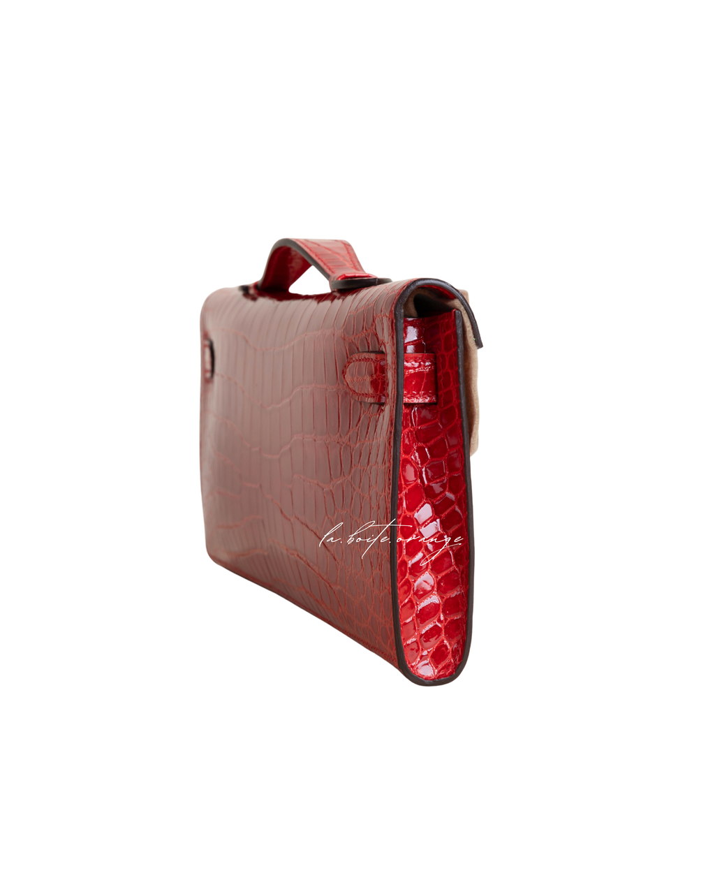Kelly cut Shiny Porosus Crocodile 95 Braise