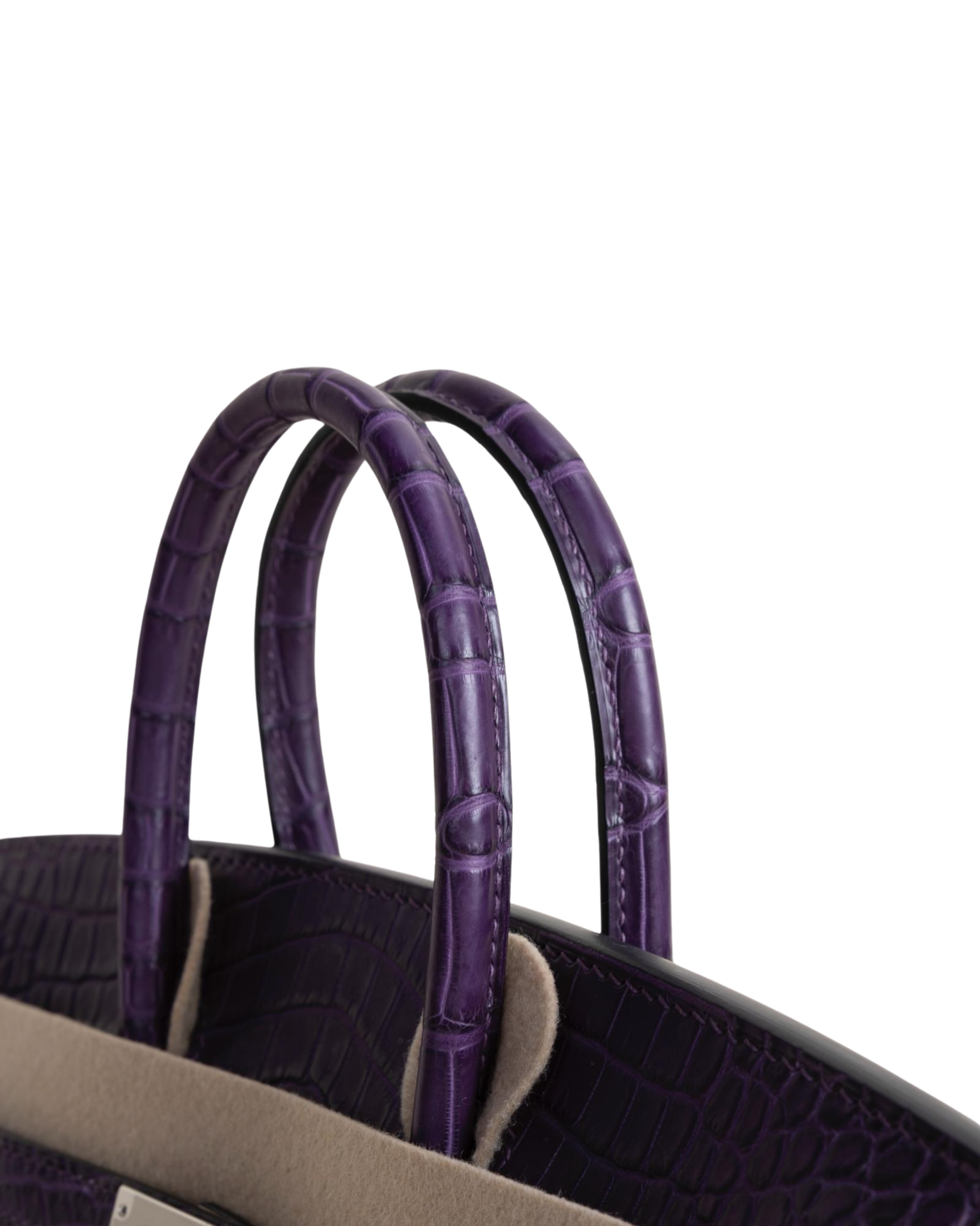 Birkin 25 Matte Porosus Crocodile 9G Amethyste