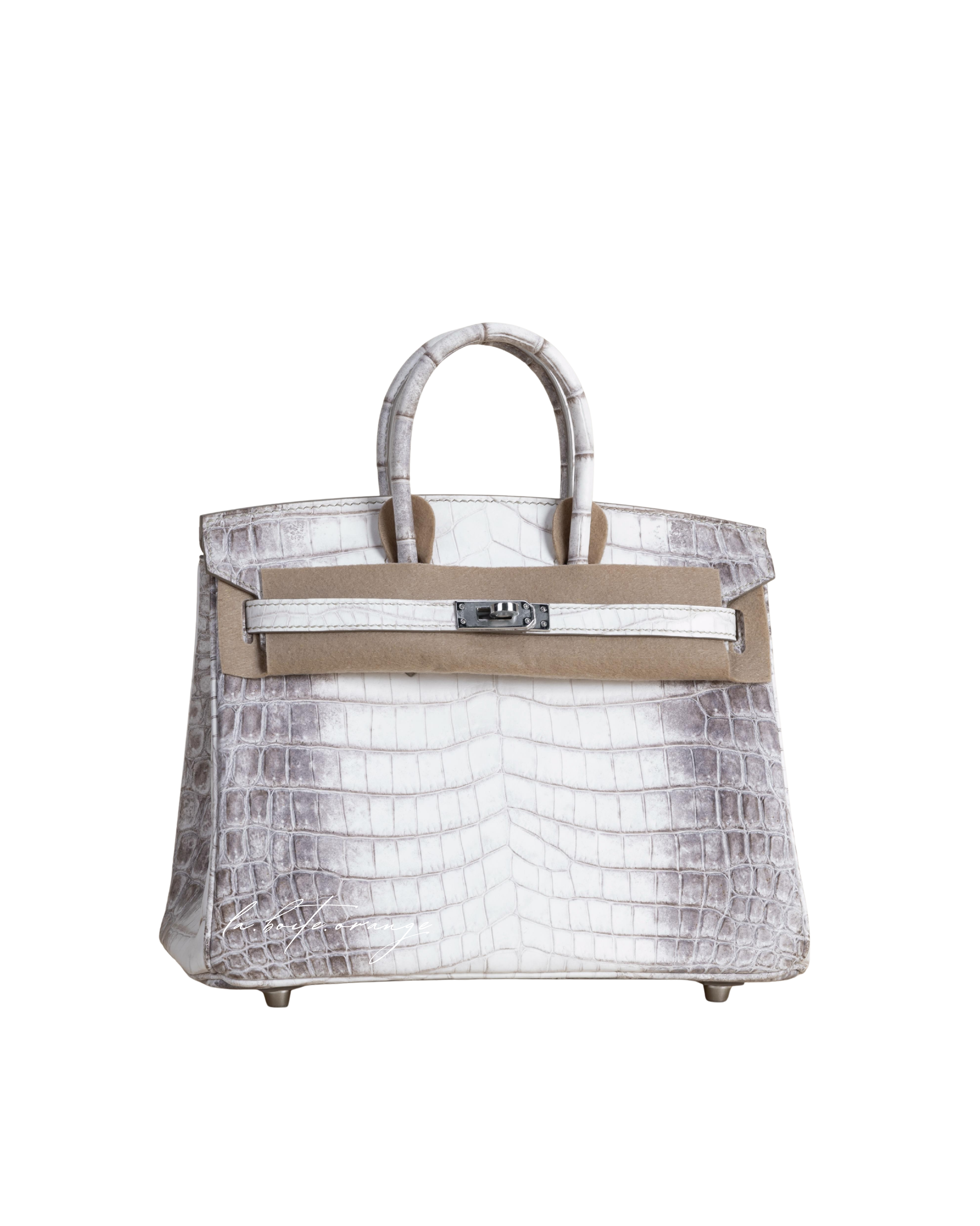 Birkin 25 Matte Niloticus 01 Himalayan