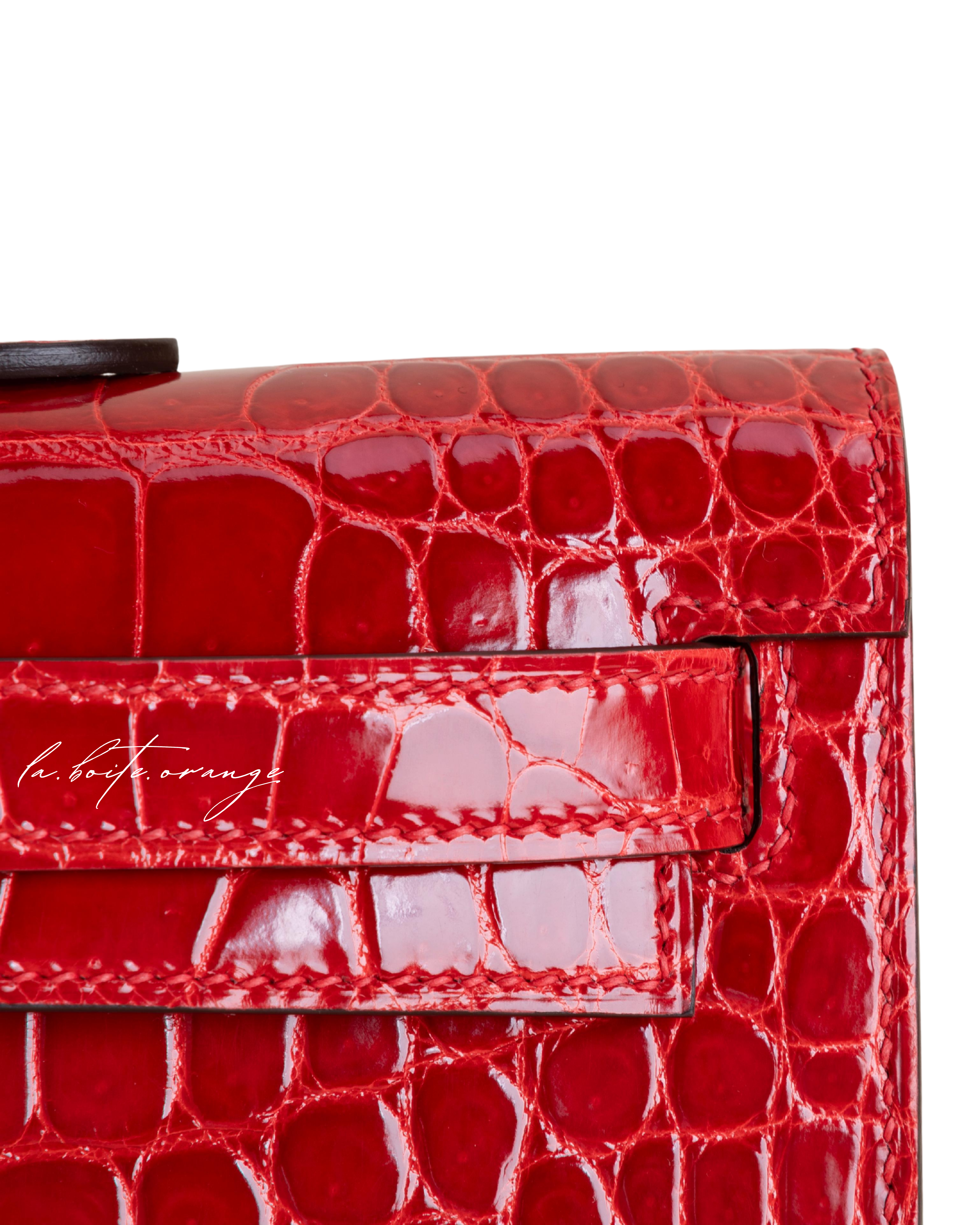 Kelly cut Shiny Porosus Crocodile 95 Braise