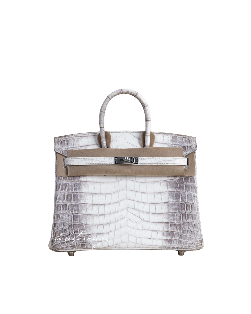 Birkin 25 Matte Niloticus 01 Himalayan