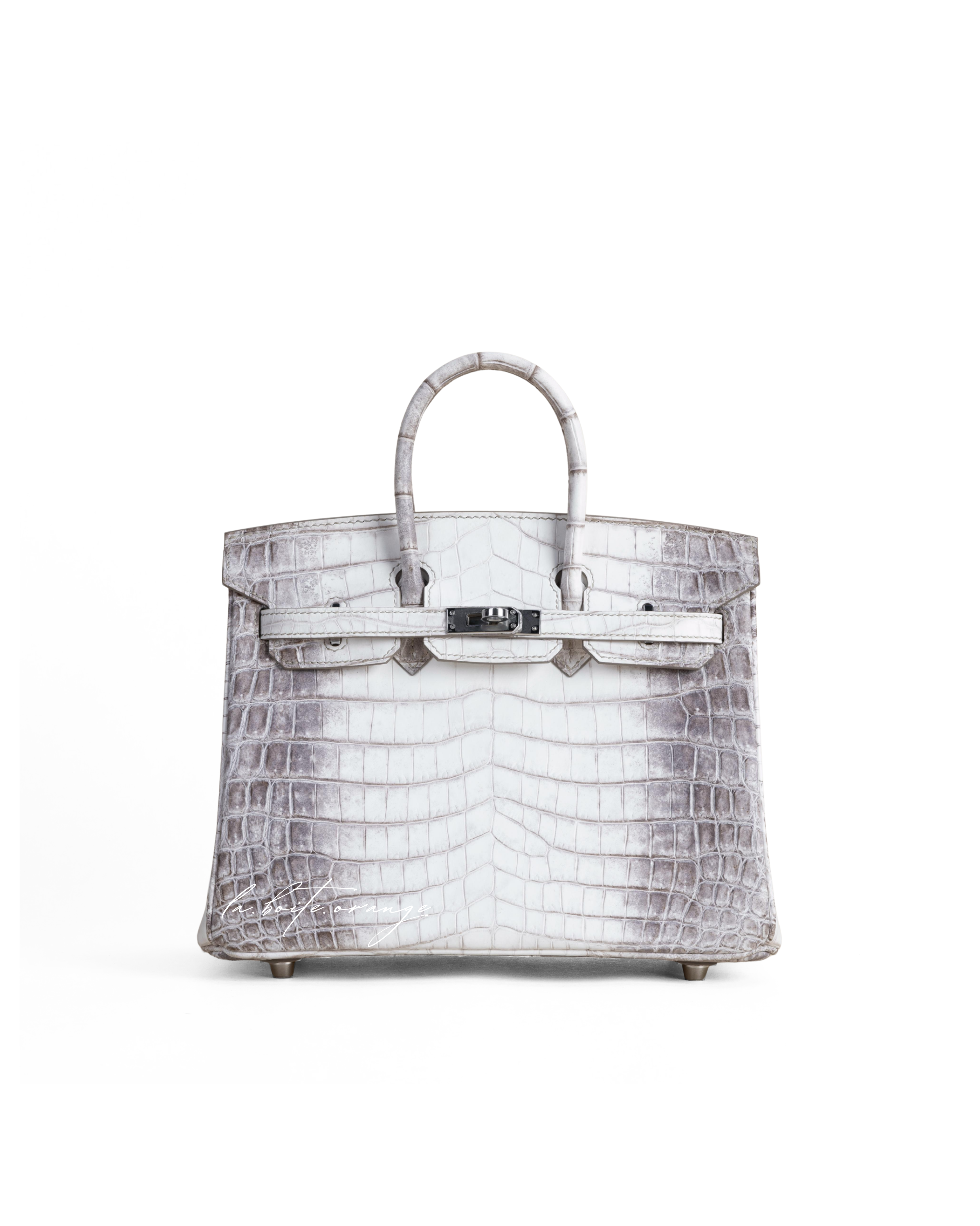 Birkin 25 Matte Niloticus 01 Himalayan