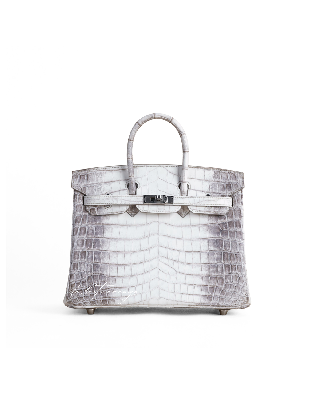 Birkin 25 Matte Niloticus 01 Himalayan